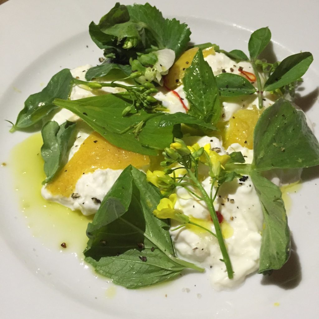 Burrata