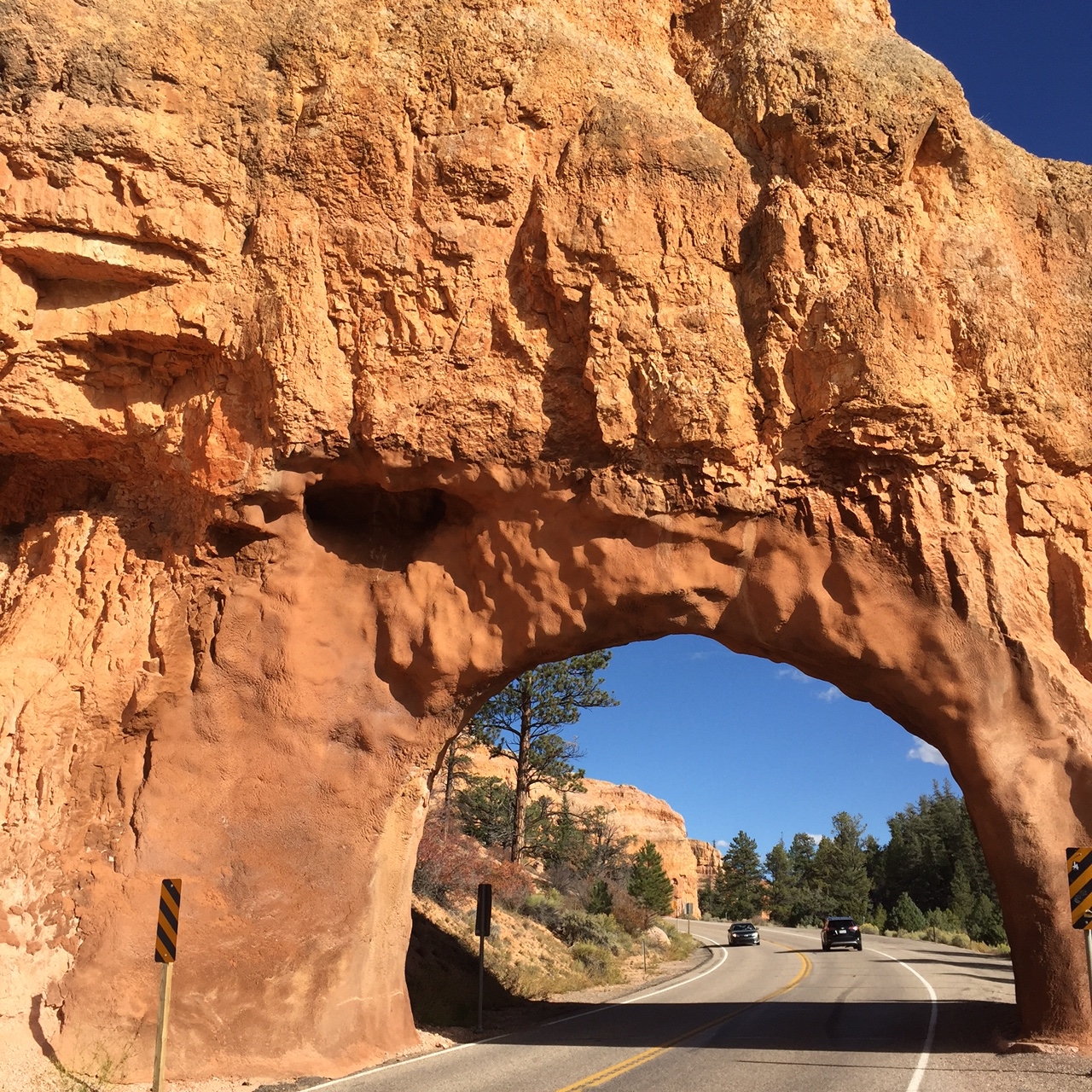 Dixie National Forest