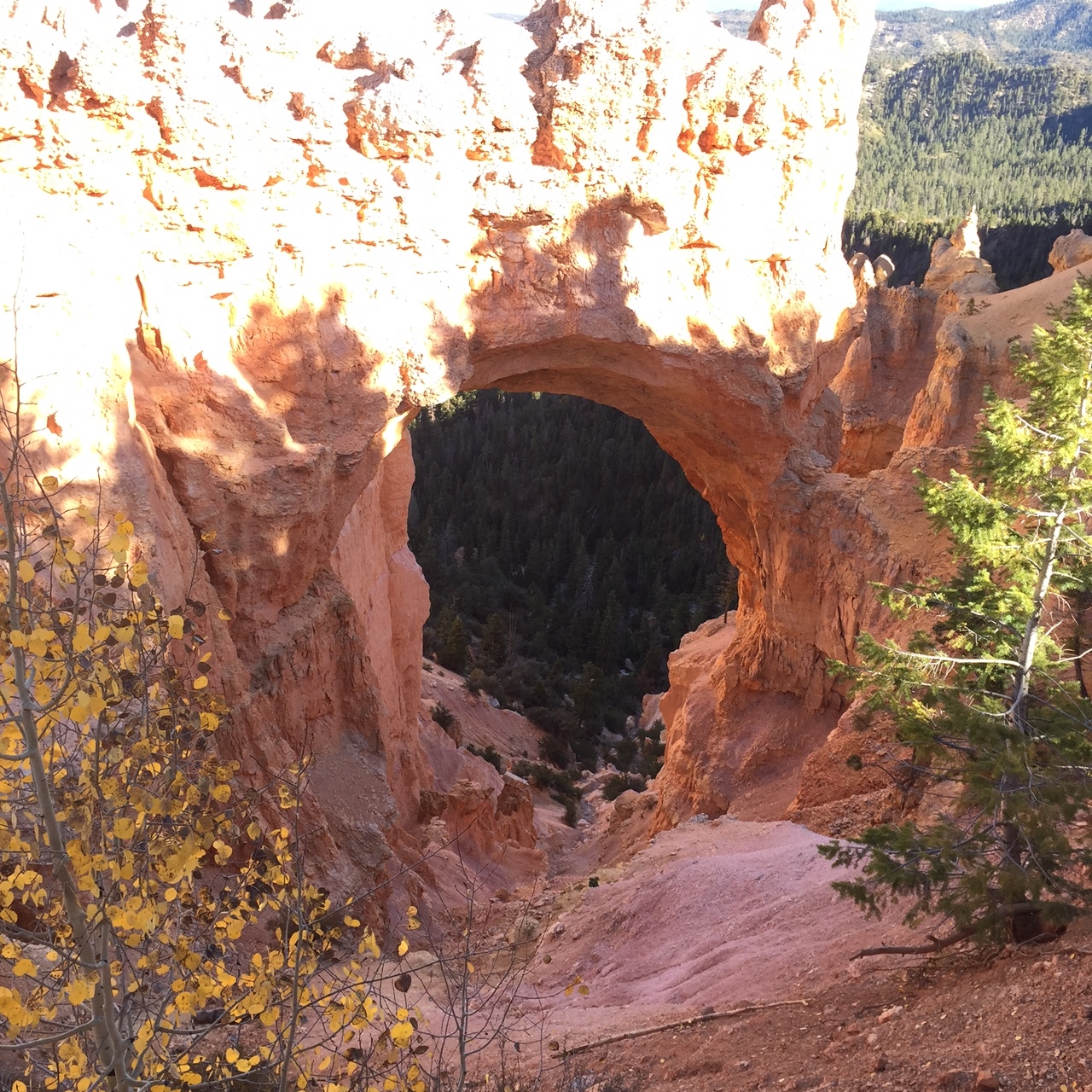 Natural Bridge