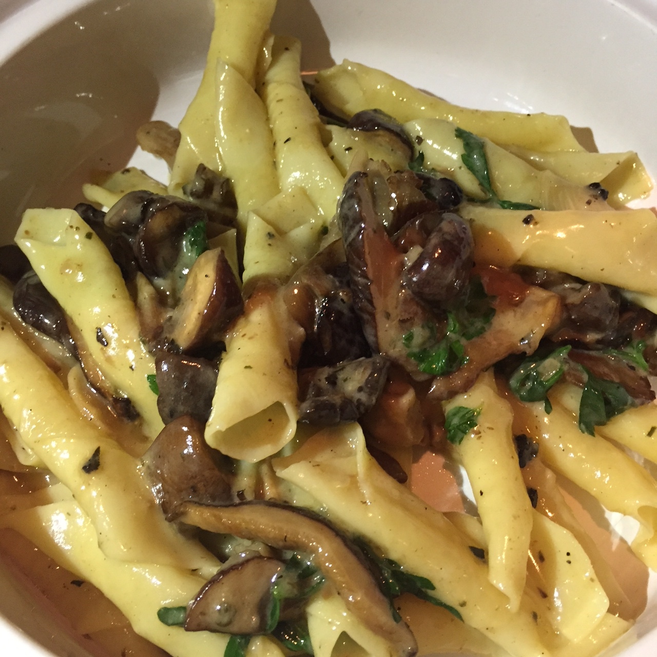 Garganelli with Mushrooms