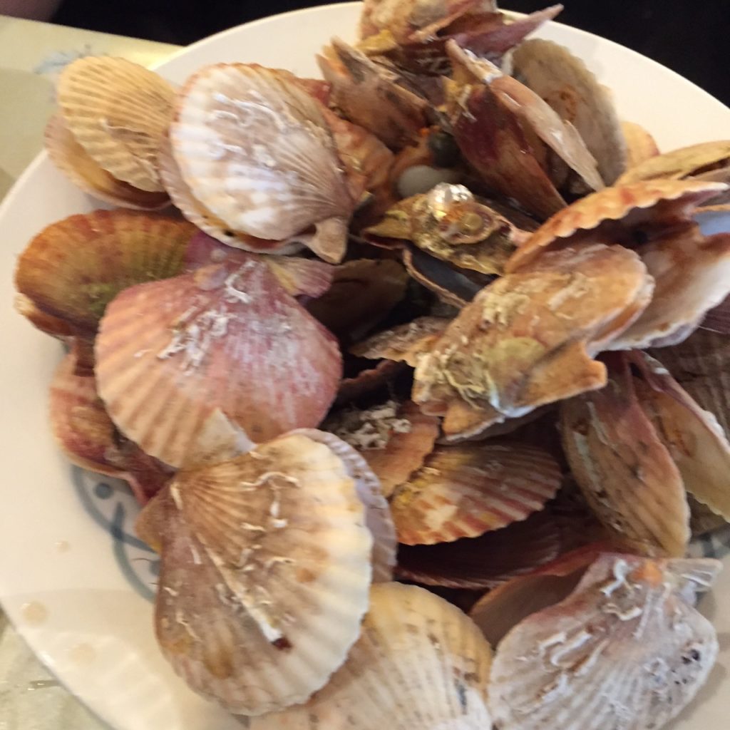 Scallops