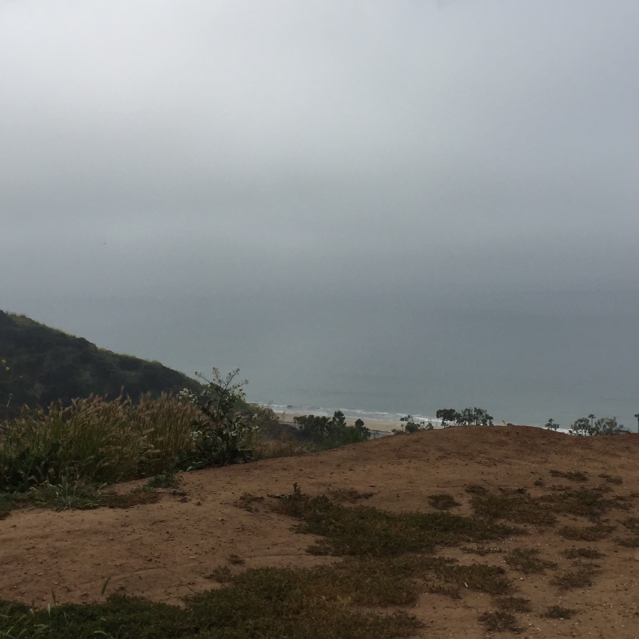 The Fog Has Lifted...