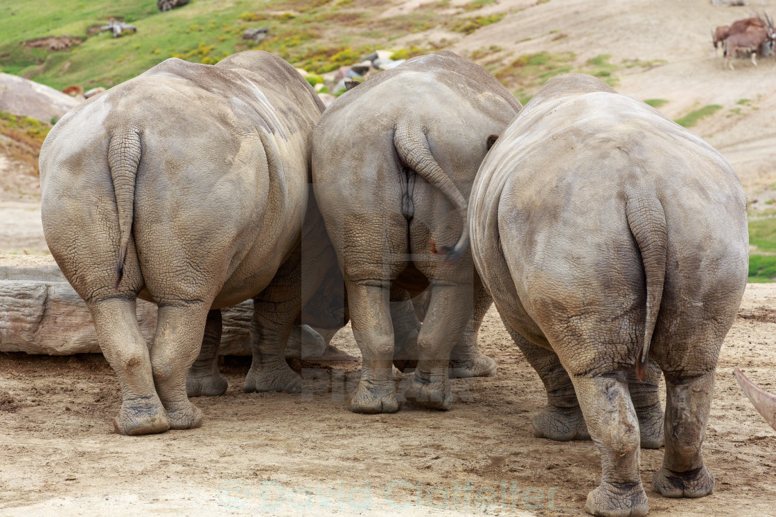 Ifs, Ands & Butts...