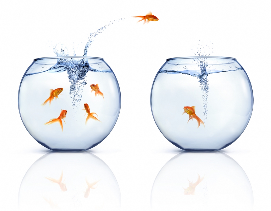 Familiarity Breeds Contempt...