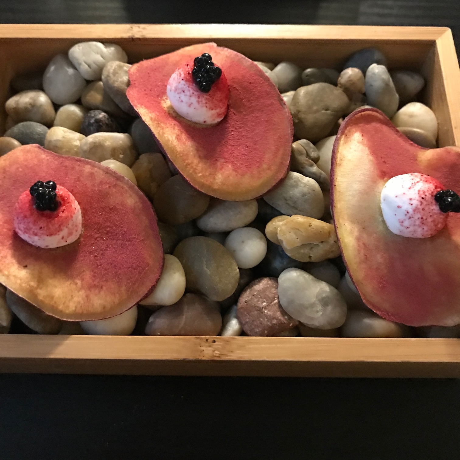 Michelin Star Angelo Sabatelli Shines...