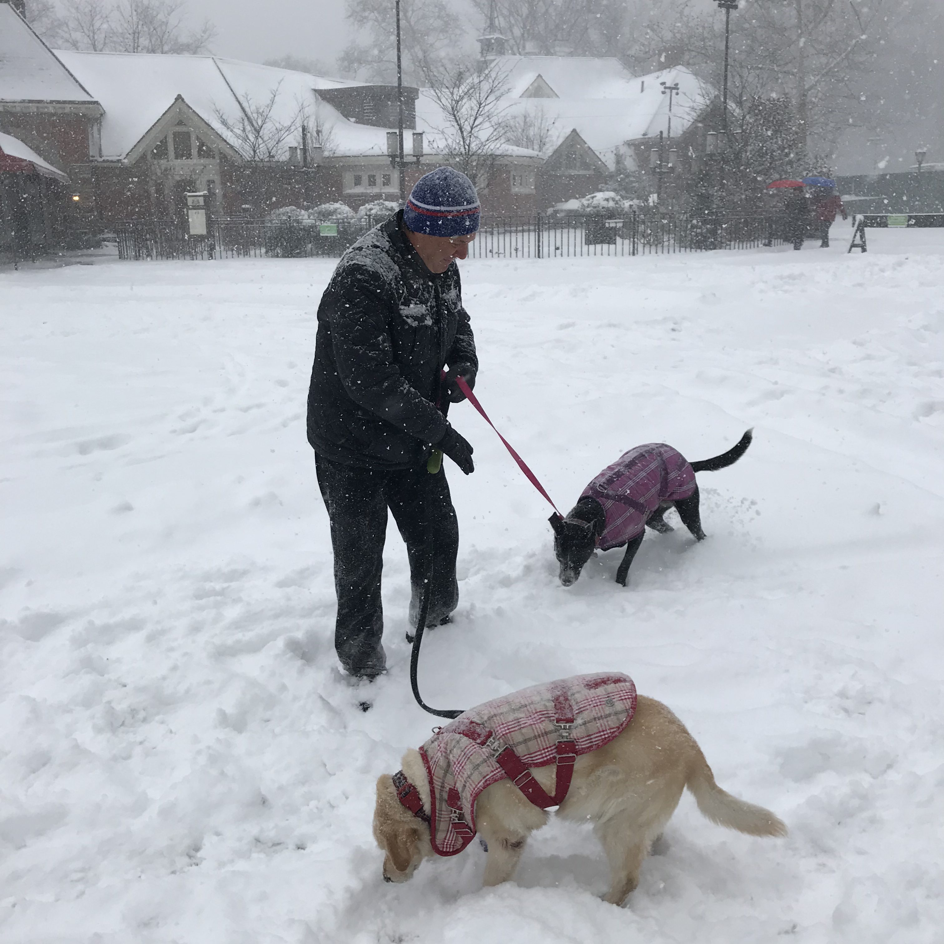 Bomb Cyclones, Books, Plays, Movies, TV....