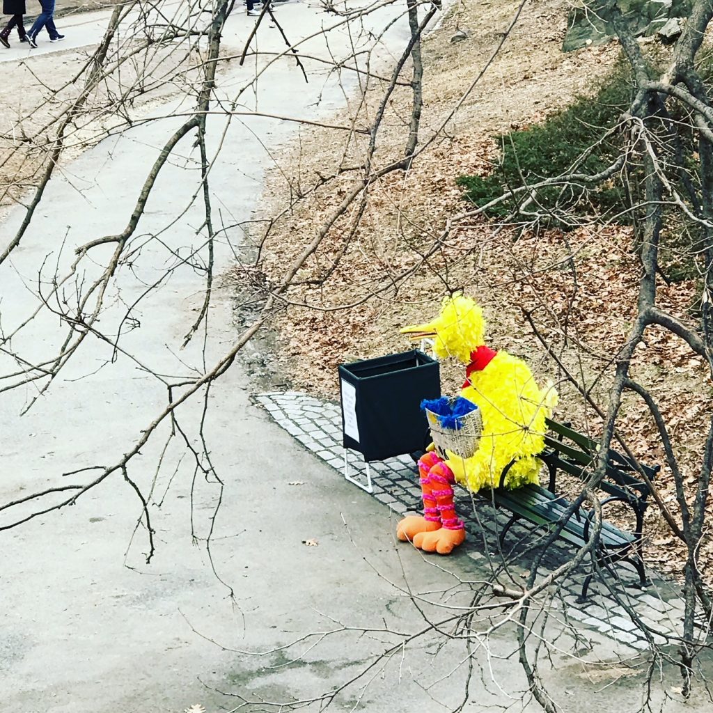 Saturday In The Park...