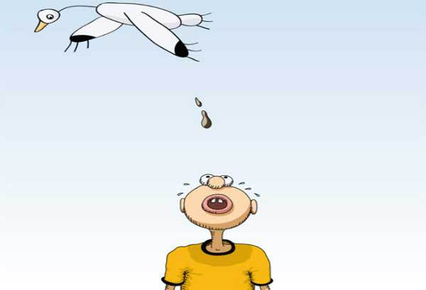 Good Luck, Really?!...