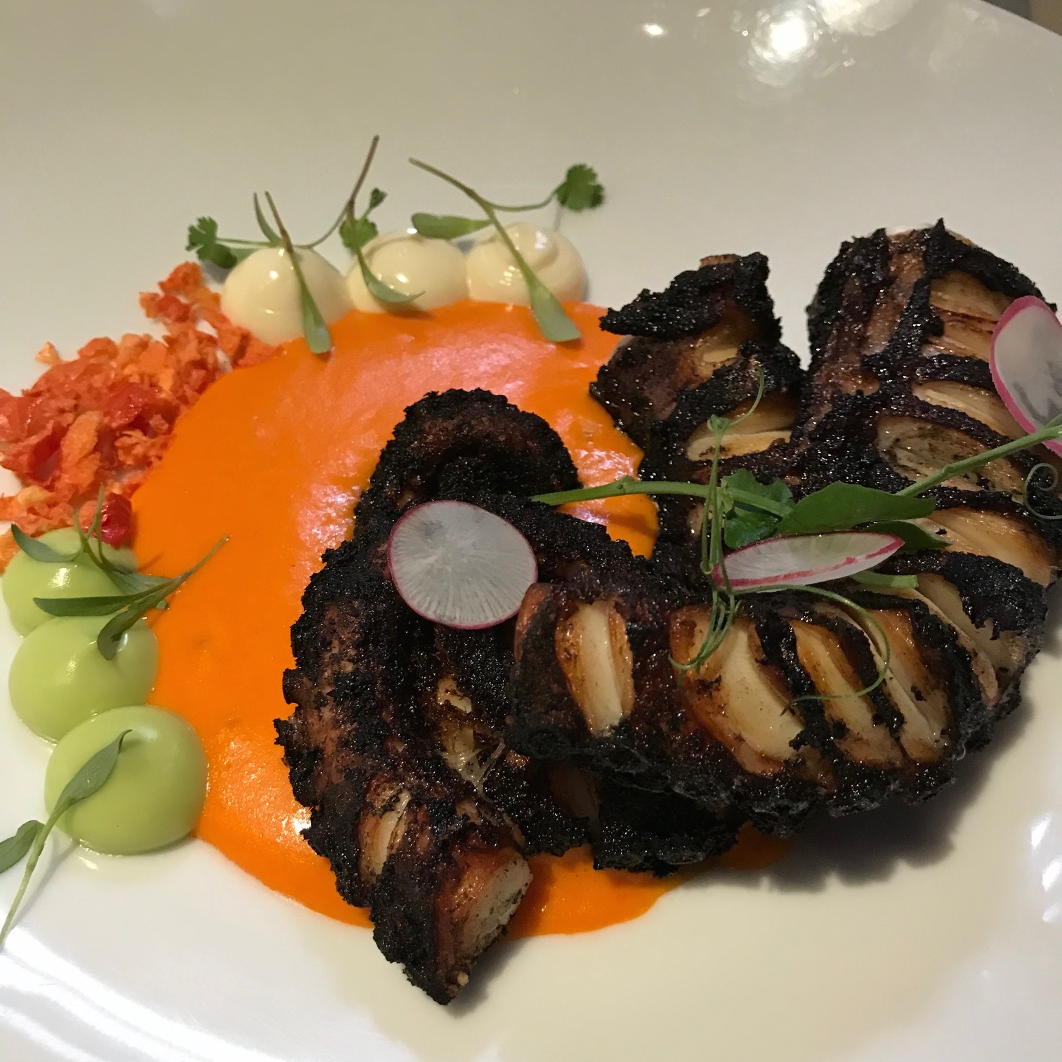 Sumptuous Sud 777...