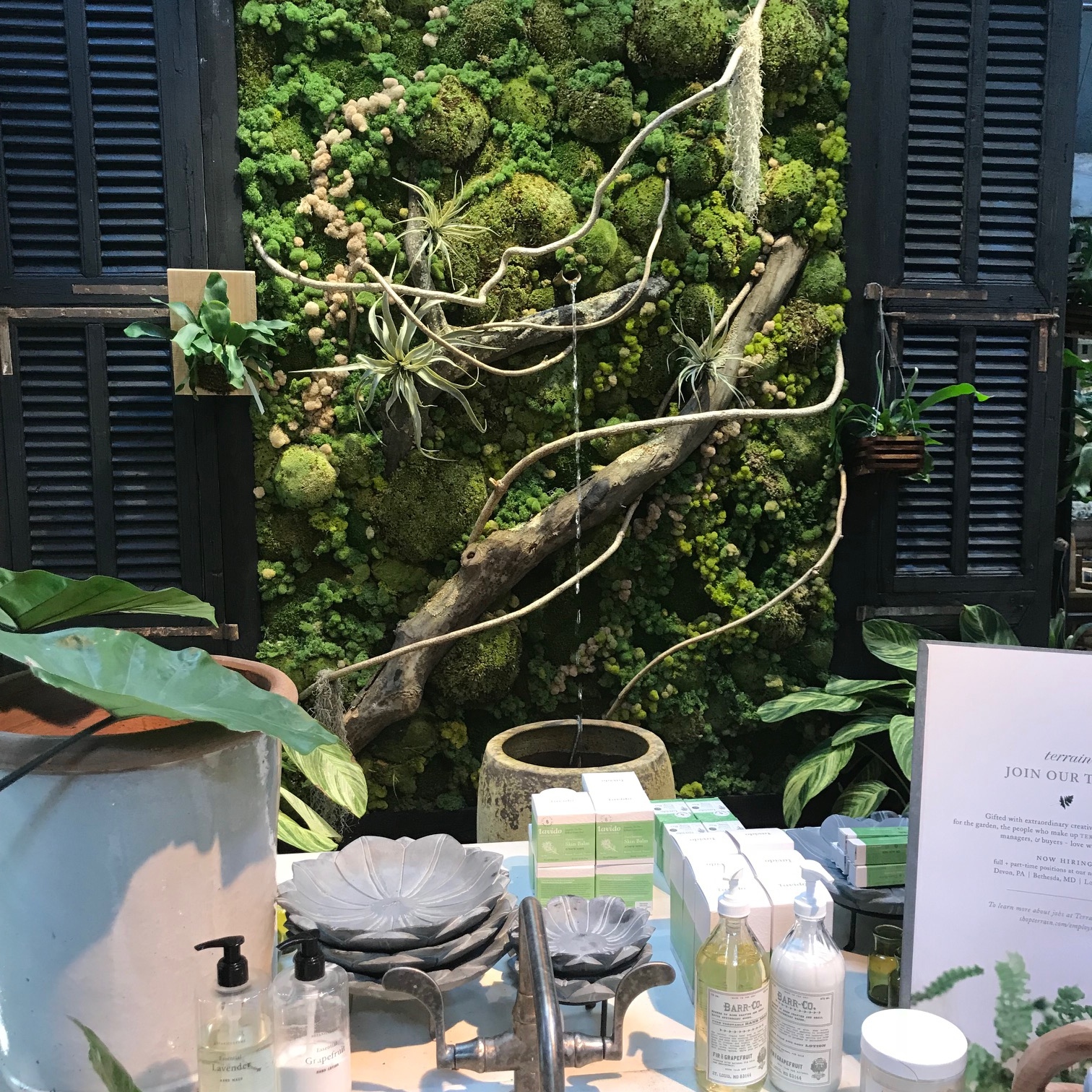 Exploring Lush Terrain...