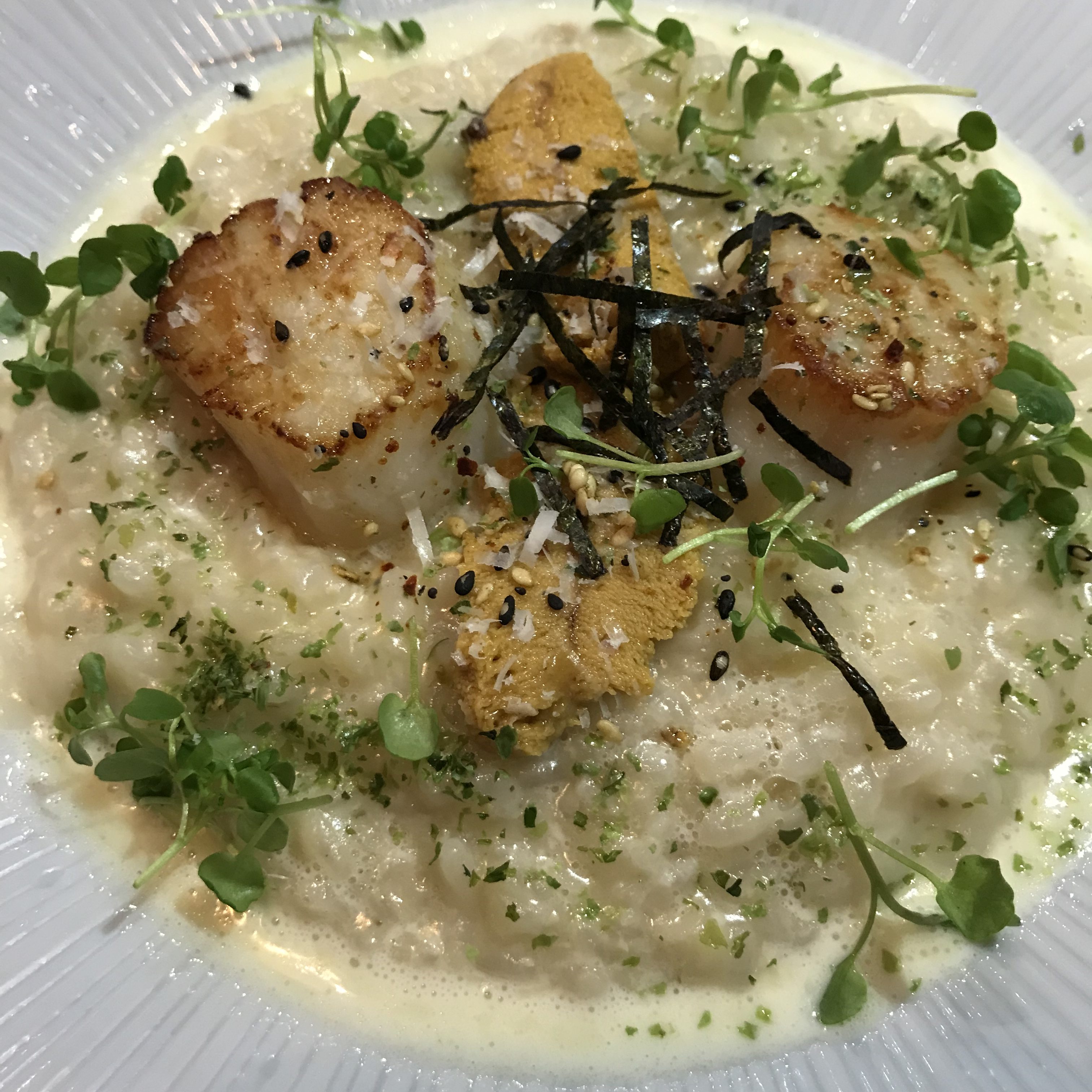 Orsa & Winston Still Wows...