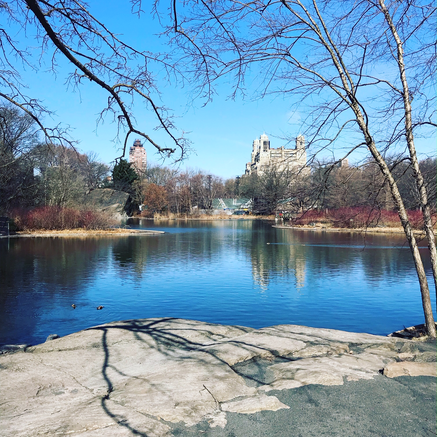 Packing Up and Packing It All In...