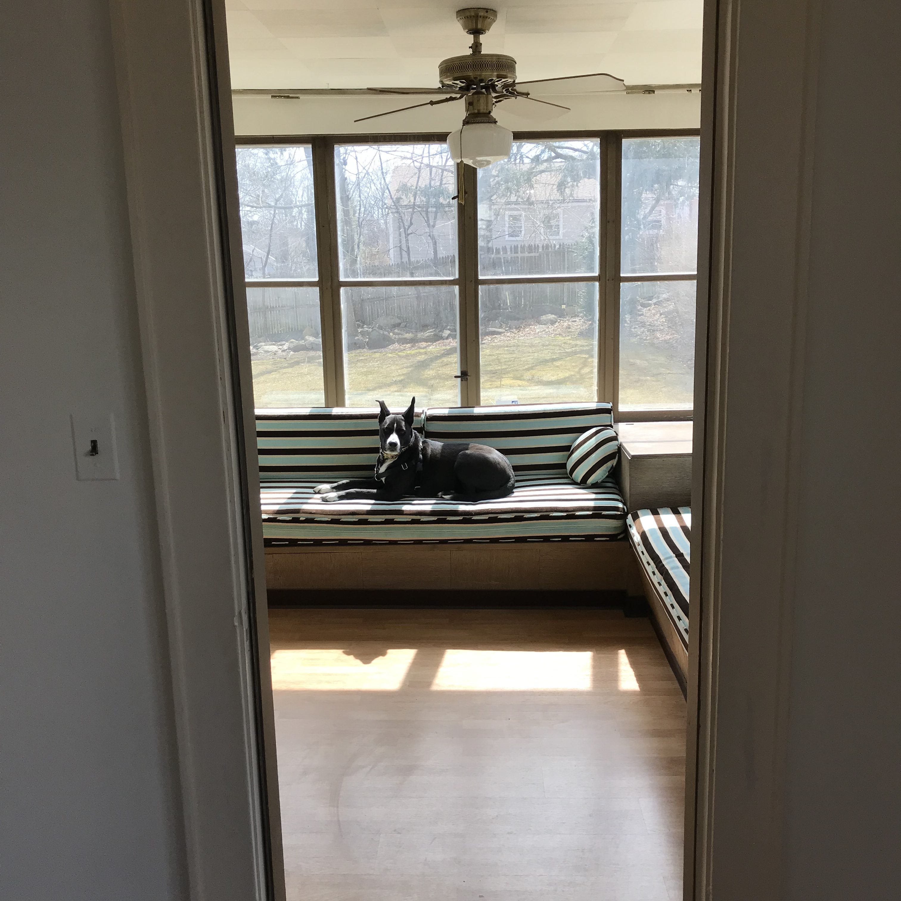 I Love The Smell Of Windex In The Morning...