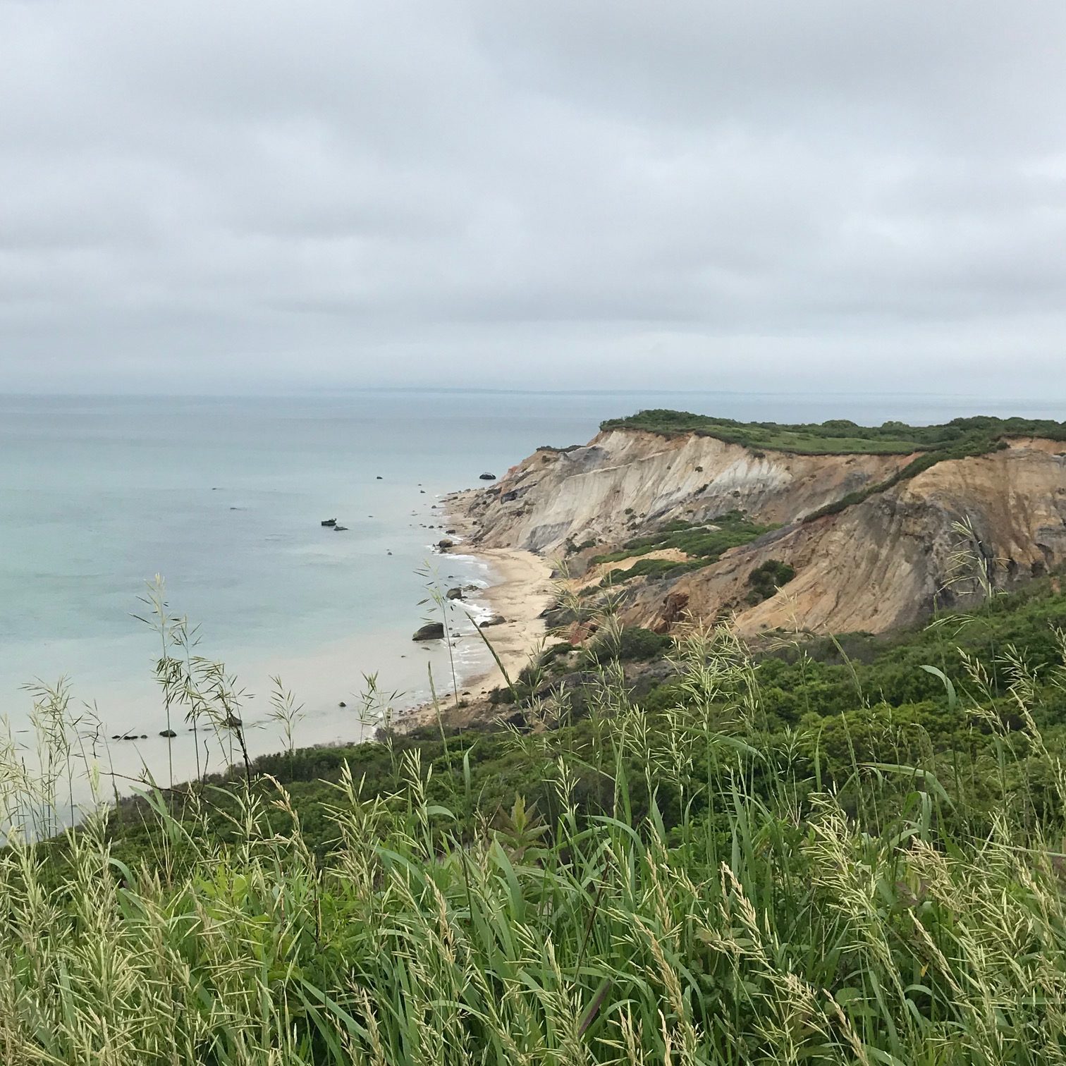 Vibrant Vineyard Vacation...