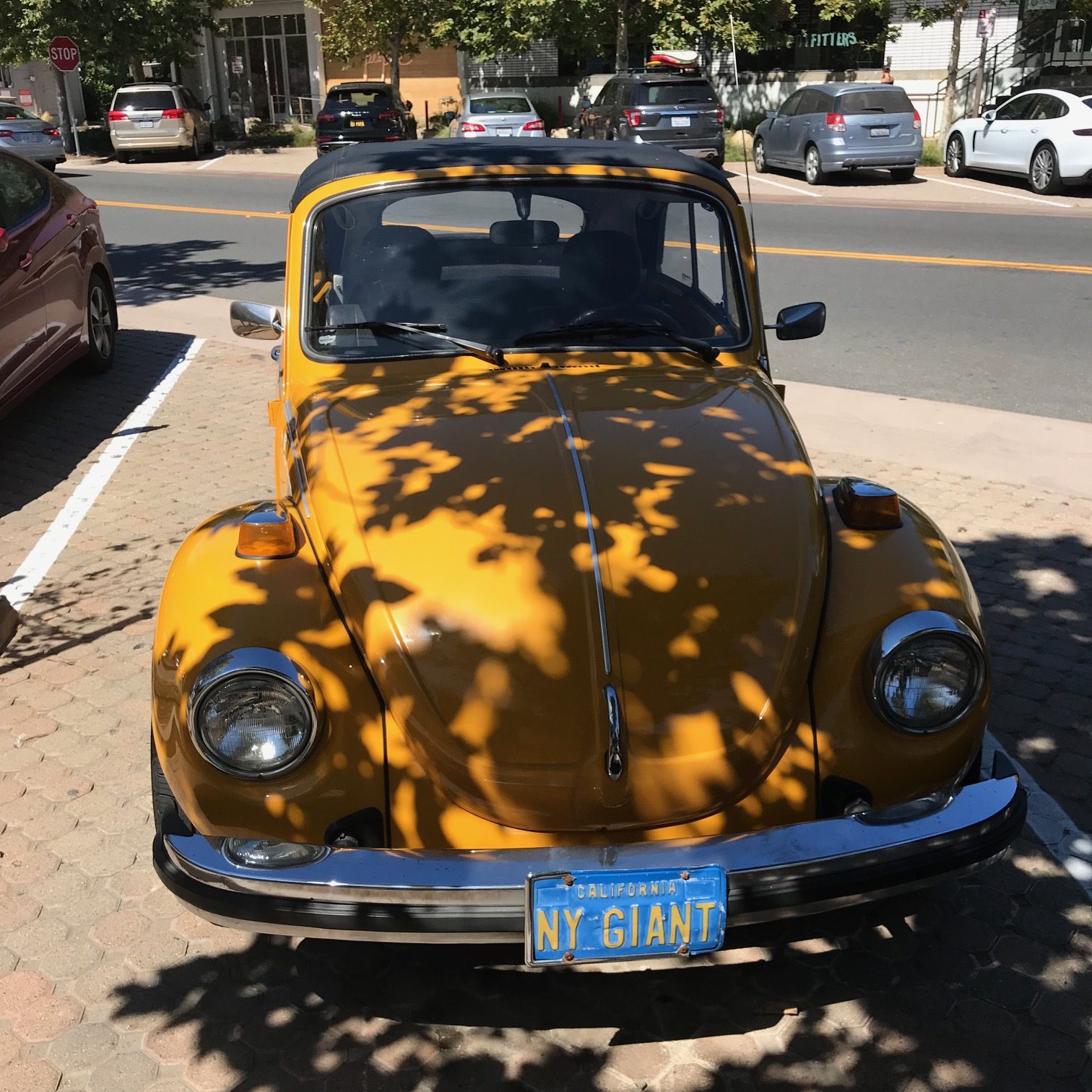 Malibu Immobility...