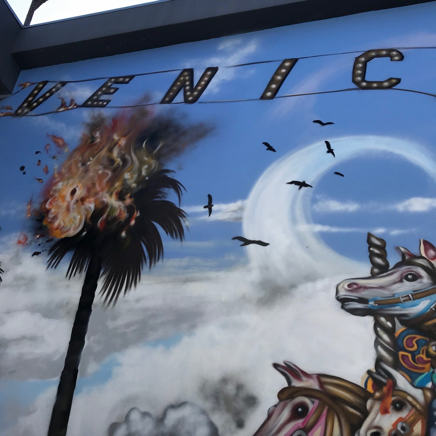 Venturing Out In Venice...