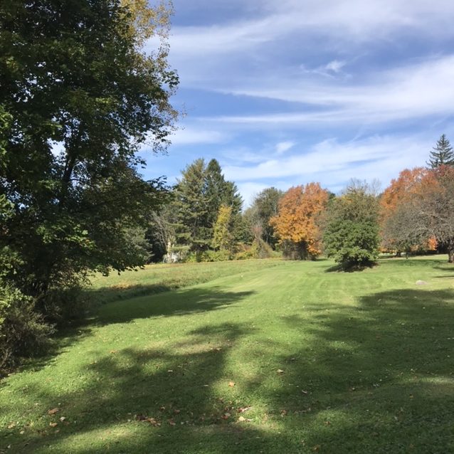 Turning Over A New Leaf...