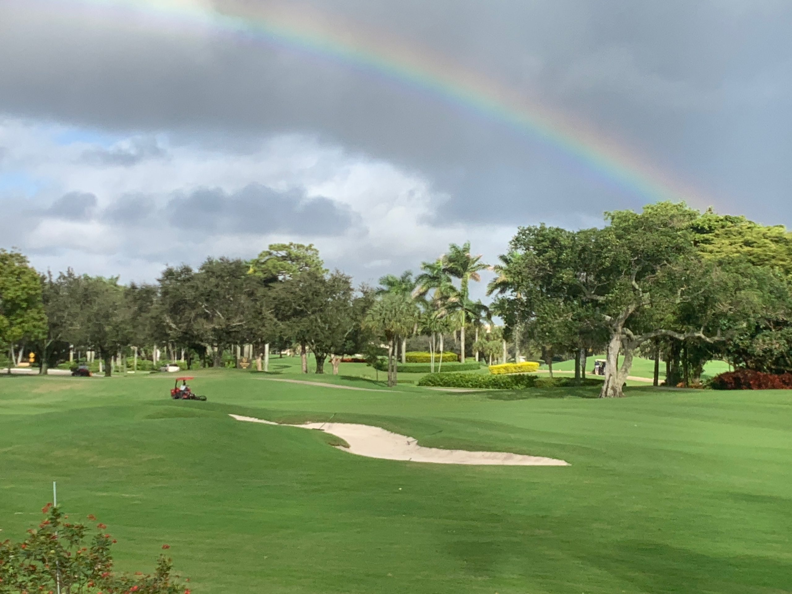 Suspended Reality...