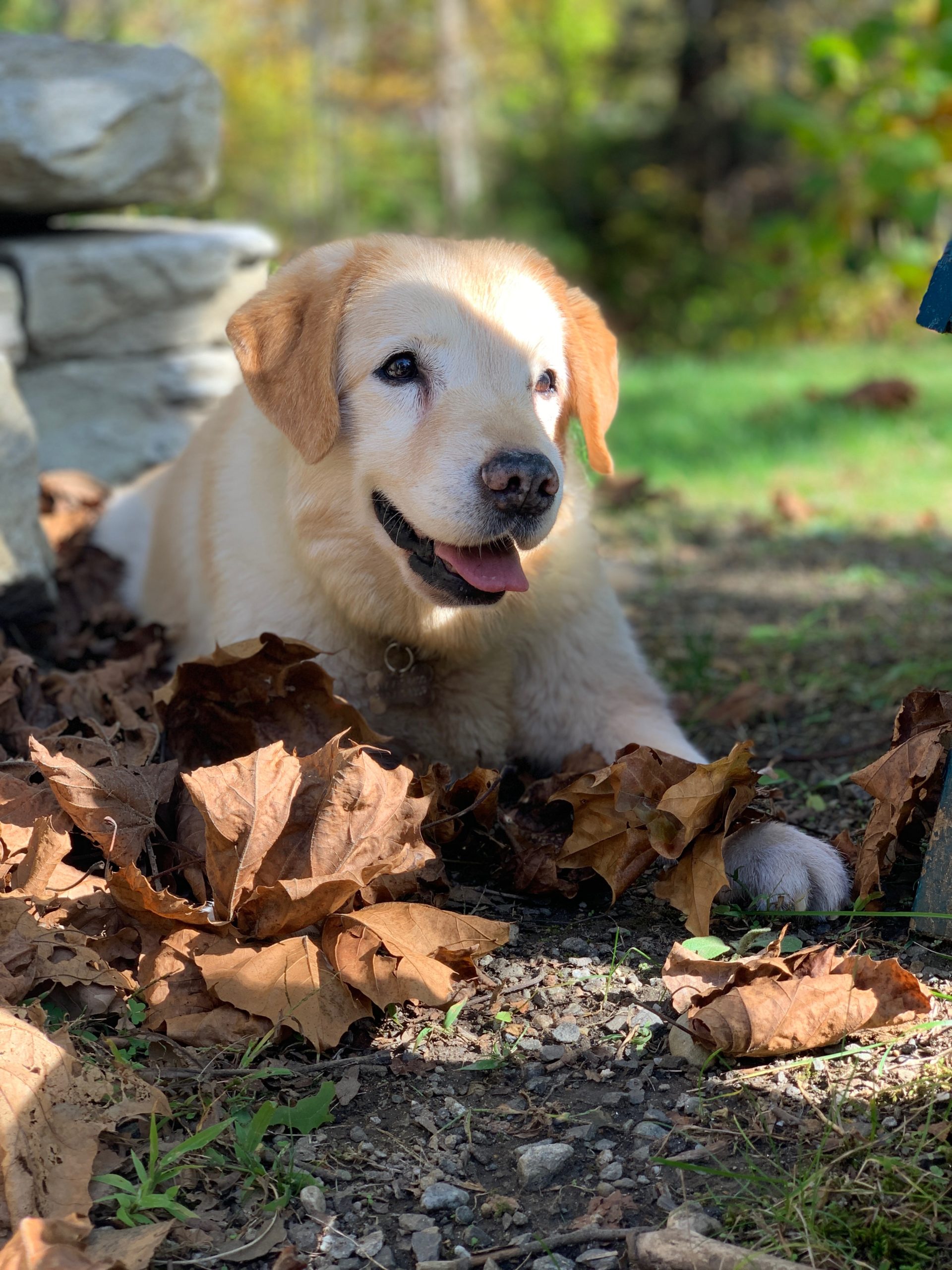 Heartfelt Thanks...?