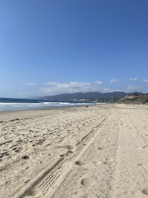 Corona Quarantine...