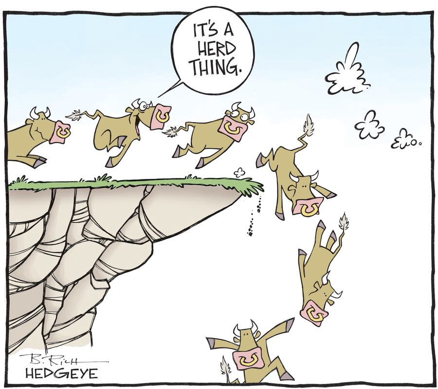 Follow The Leader...