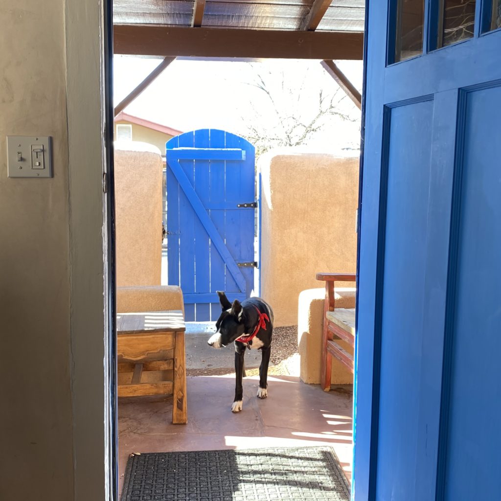 Satisfied in Santa Fe...