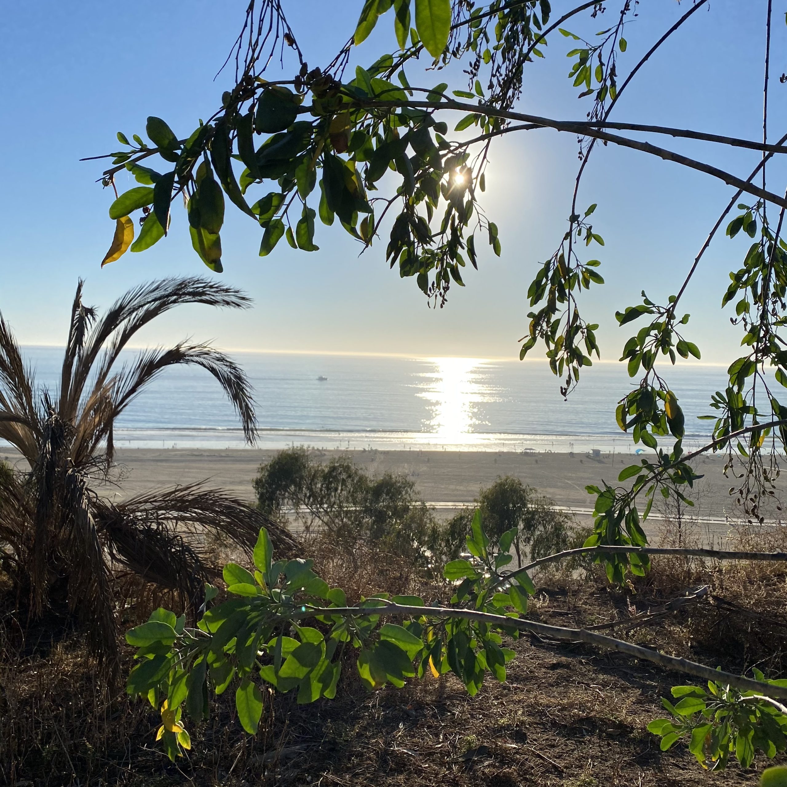 Holiday Hopefulness...