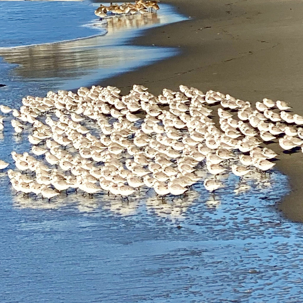 Deja Vu All Over Again...