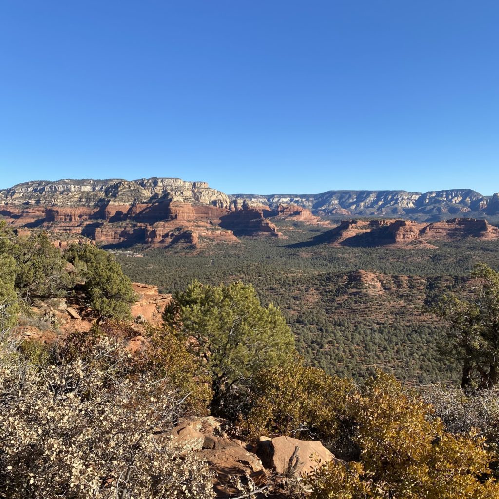 Georgia On My Mind...