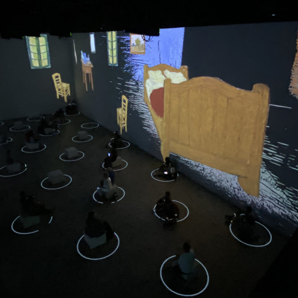 Immersed In Van Gogh…