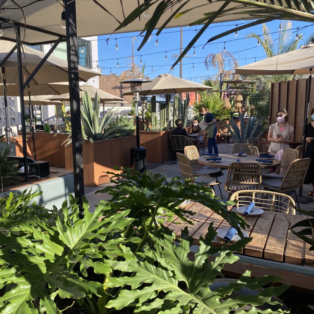 Quick Step To Cha Cha Cha…LA Restaurant Review