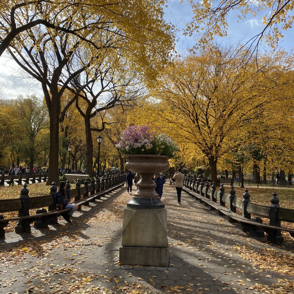 Autumn In New York…