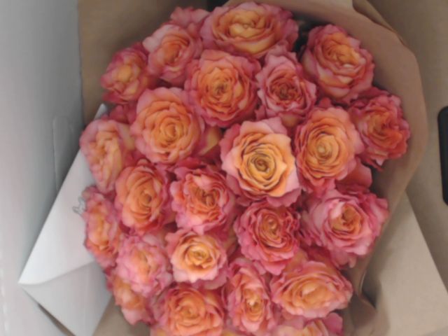 Gifts That Keep On Giving…