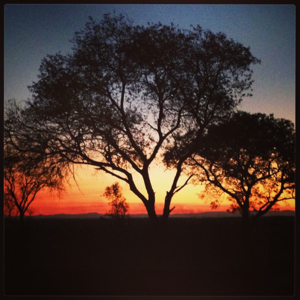 Craving A Simpler Time…