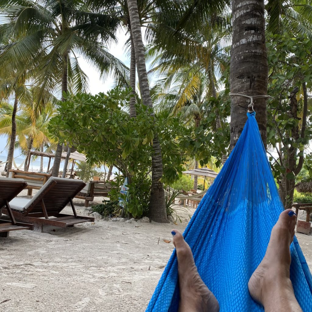 Roadblocks To Paradise…