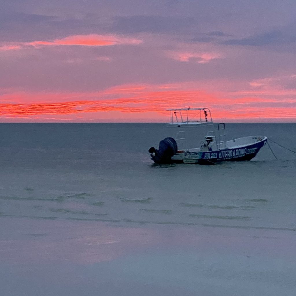 Ticket To Paradise…