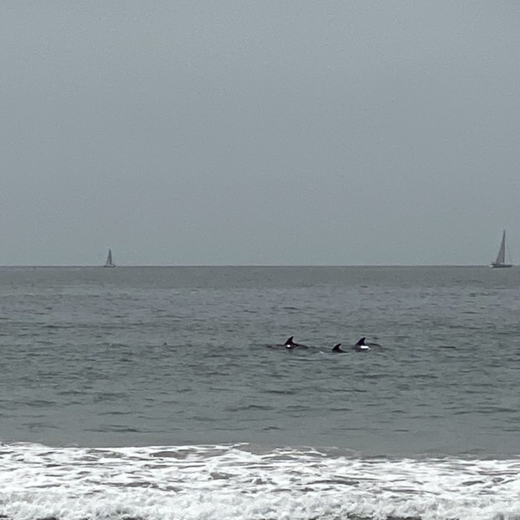 Best Things In Life Are Free…