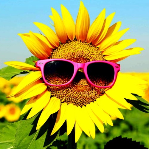 I Can See Clearly Now…