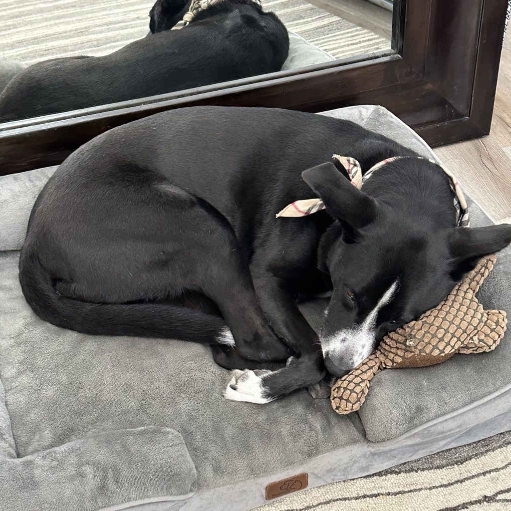 Nightly Affirmations…