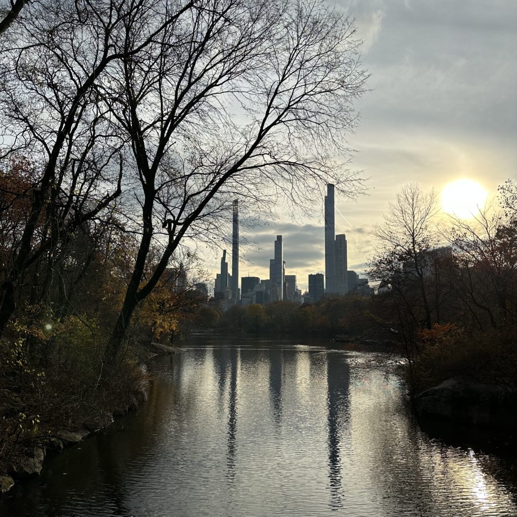 Only in Manhattan…