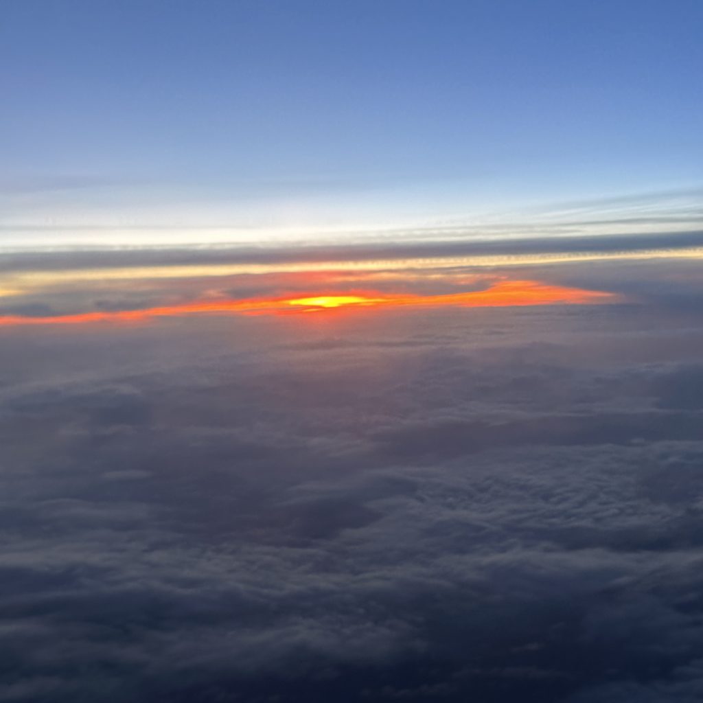 Fool For The City…