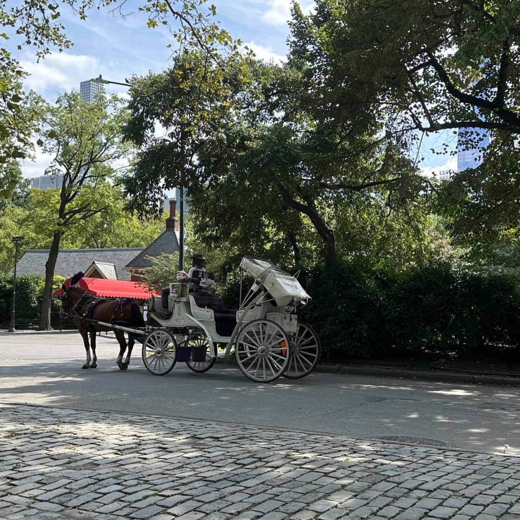 One Leg At A Time…