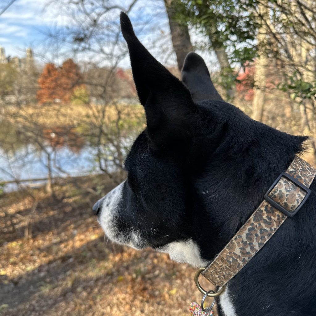 New York State Of Mind…