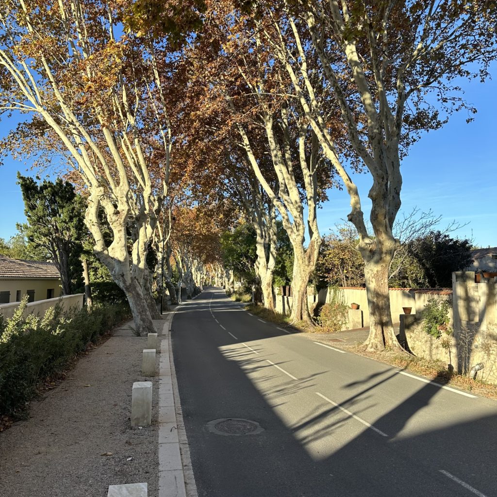 A Day Of Perfection…