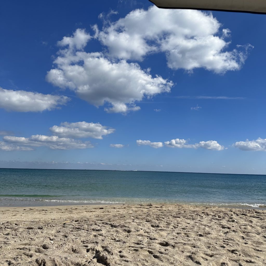 2024 Hear Me Roar…