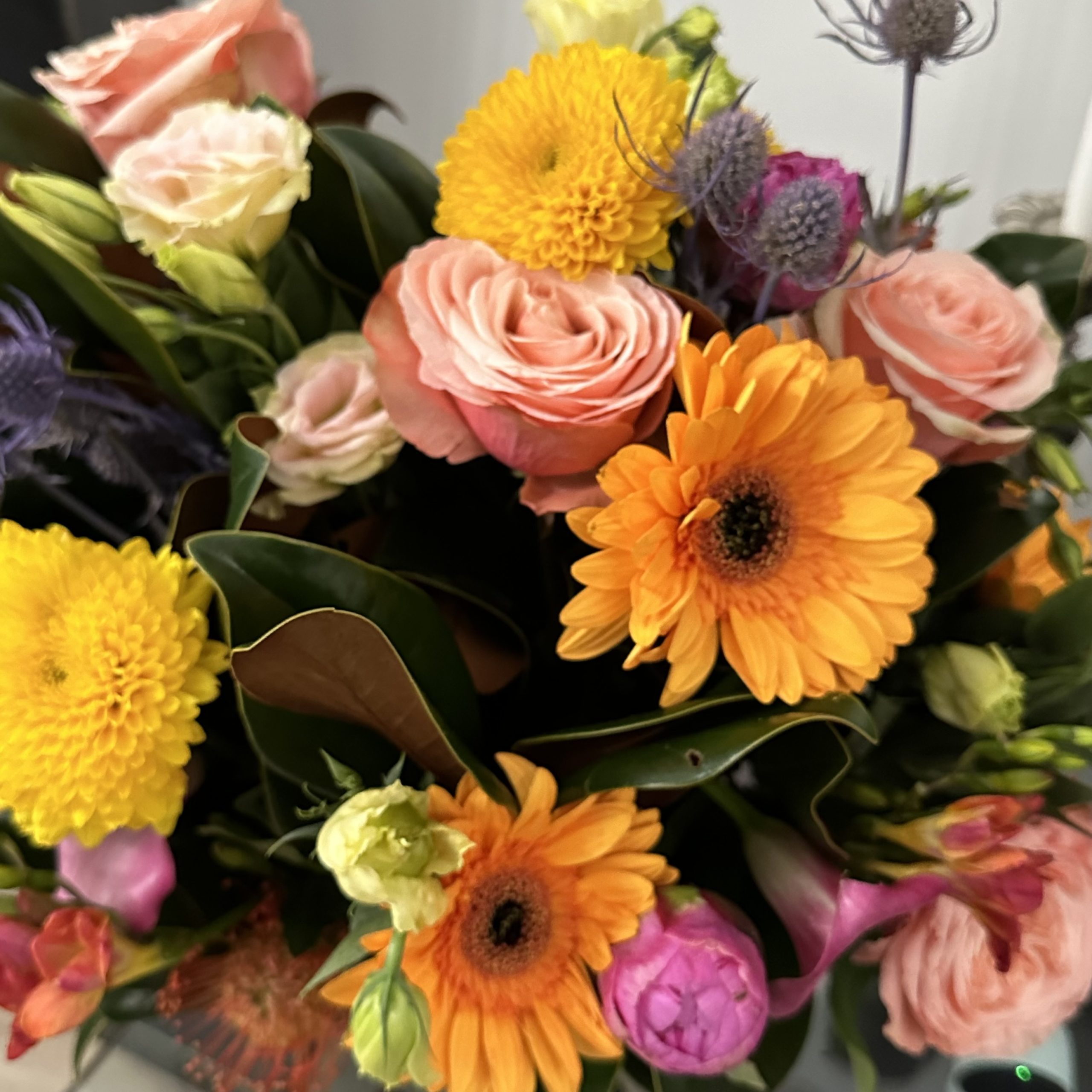 Love The One You’re With…