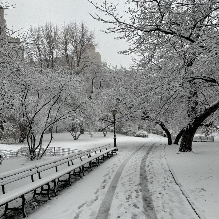 Ugly Snow…