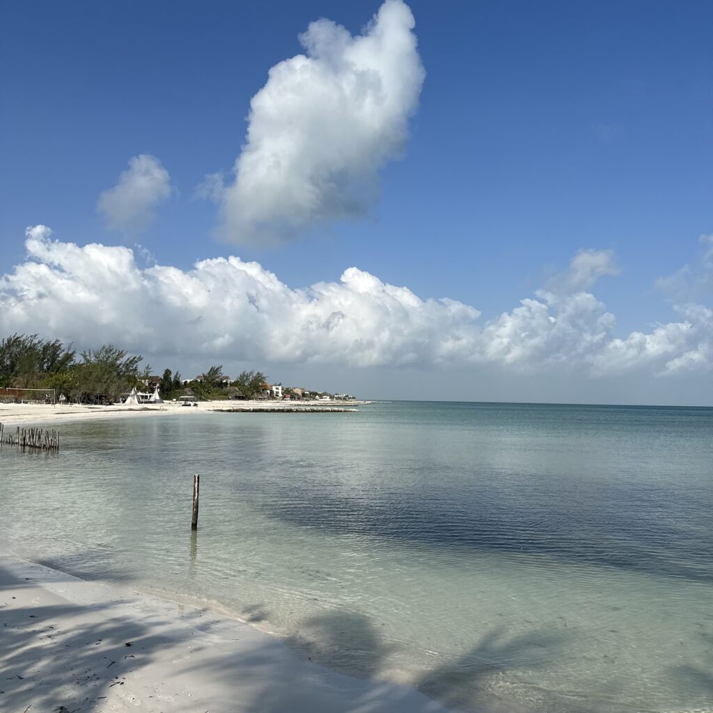 Two Tickets To Paradise…