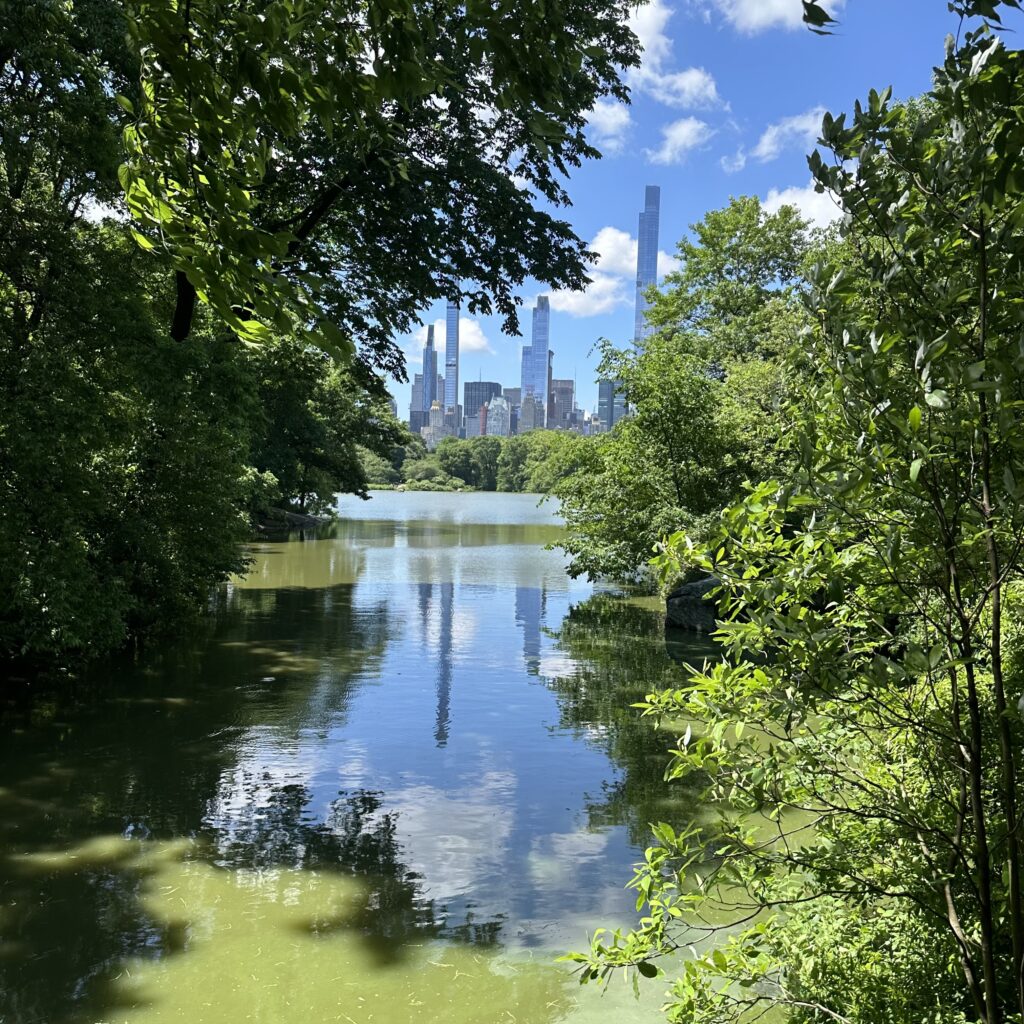 Empire State Of Mind…