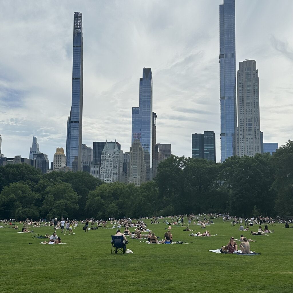 Elephant In The Room…